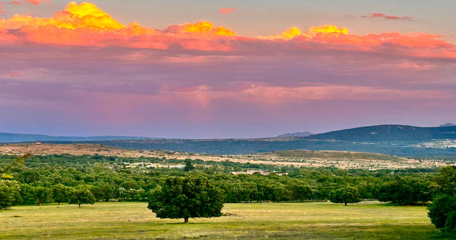 Pastos y bosque en La Serna del Monte