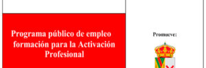Programa público de empleo